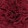 Dahlia - Dahlia Flower Brooch