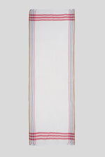 Aarav - Decorative check border woven scarf